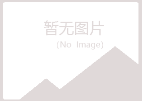 若羌县晓夏工程有限公司